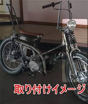 41y+FWbujdL._UF350,350_QL80_.jpg